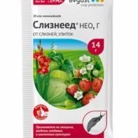 Слизнеед Слизнеед