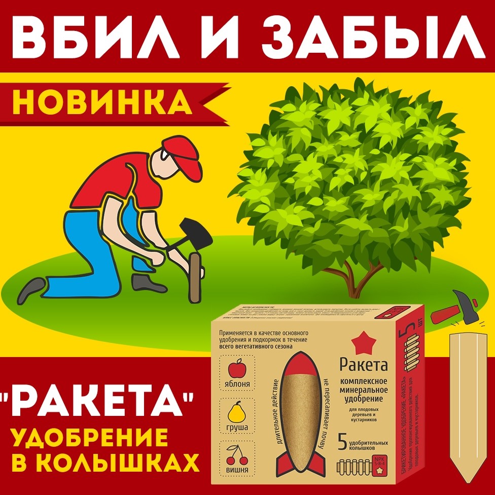 ракета плодовые ракета плодовые