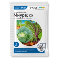 миура миура